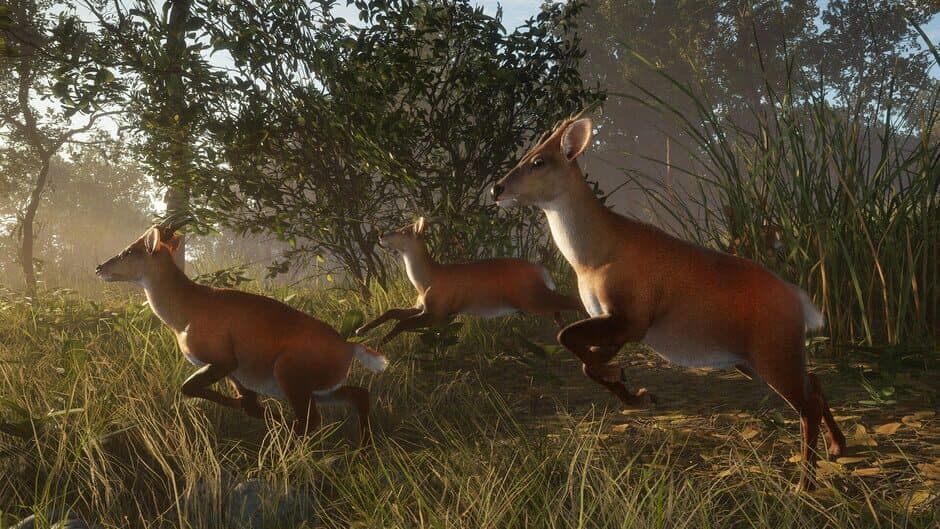 Скриншот 11 из TheHunter: Call of the Wild - Sundarpatan Nepal Hunting Reserve