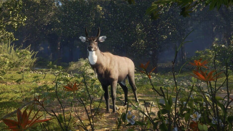 Скриншот 7 из TheHunter: Call of the Wild - Sundarpatan Nepal Hunting Reserve