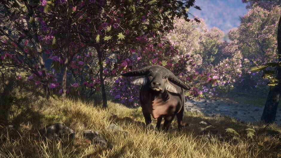 Скриншот 12 из TheHunter: Call of the Wild - Sundarpatan Nepal Hunting Reserve