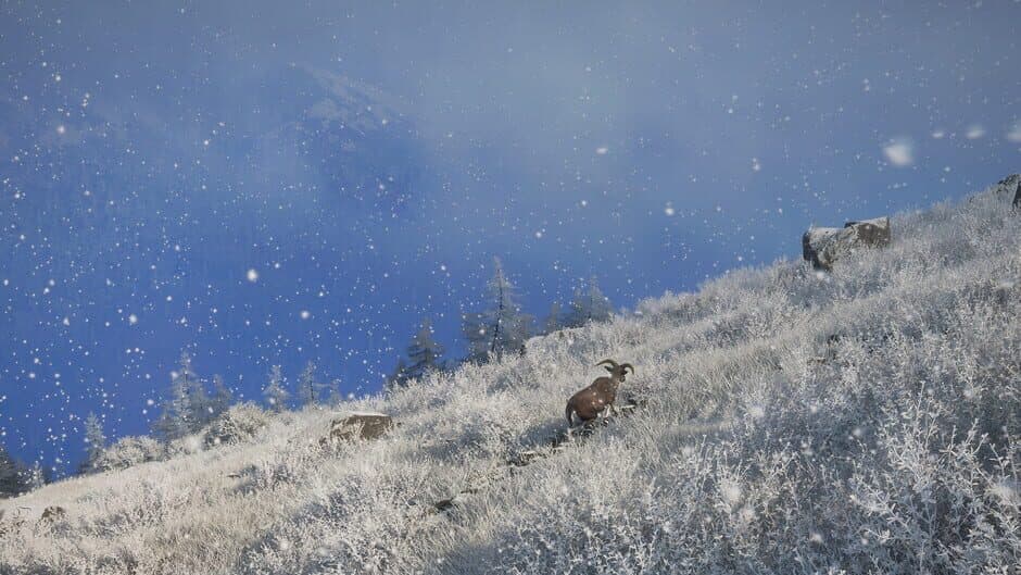 Скриншот 9 из TheHunter: Call of the Wild - Sundarpatan Nepal Hunting Reserve