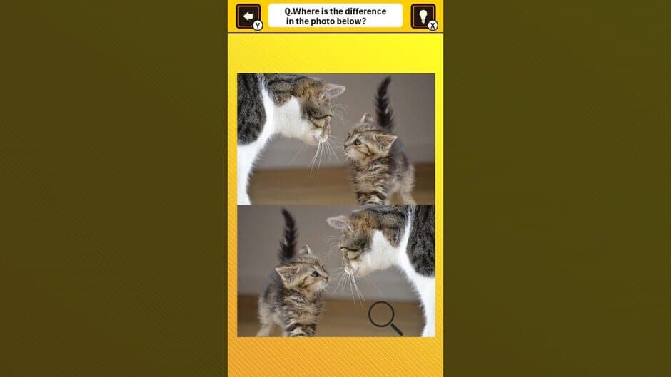 Скриншот 1 из Train Your Brain! Spot the Difference with Cat Photos