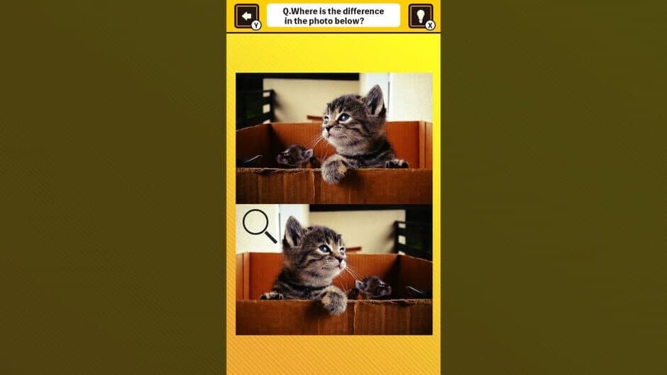 Скриншот 2 из Train Your Brain! Spot the Difference with Cat Photos