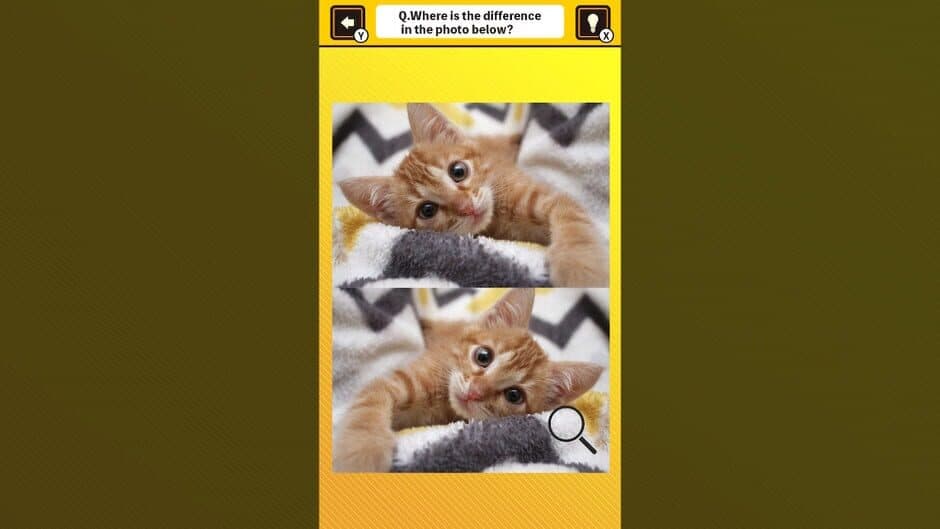 Скриншот 4 из Train Your Brain! Spot the Difference with Cat Photos