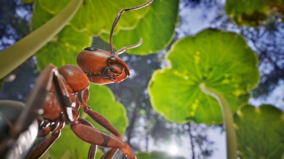 Скриншот 1 из Empire of the Ants