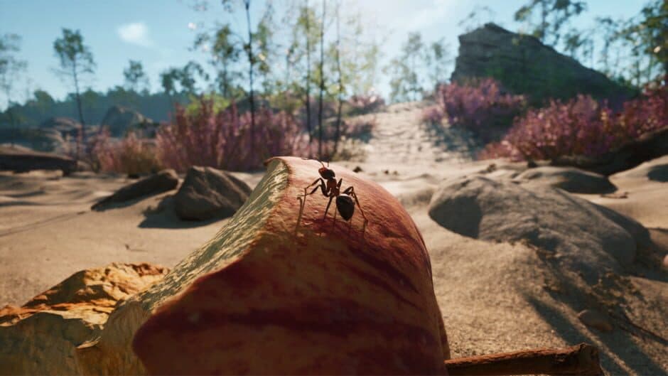 Скриншот 3 из Empire of the Ants