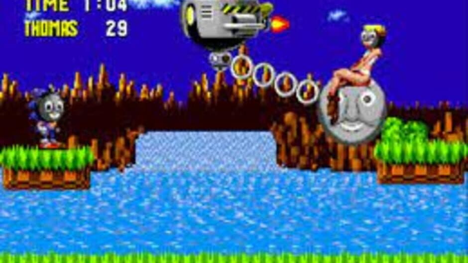 Скриншот 1 из Sonic the Very Useful Engine