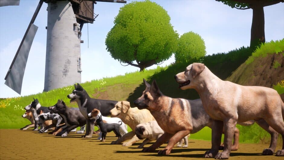 Скриншот 3 из Dogs Club