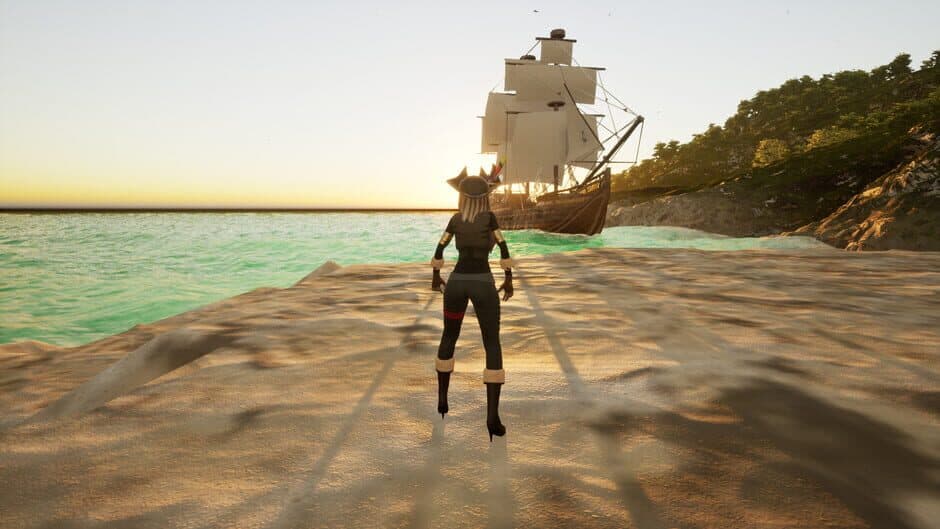 Скриншот 5 из Epic Pirate