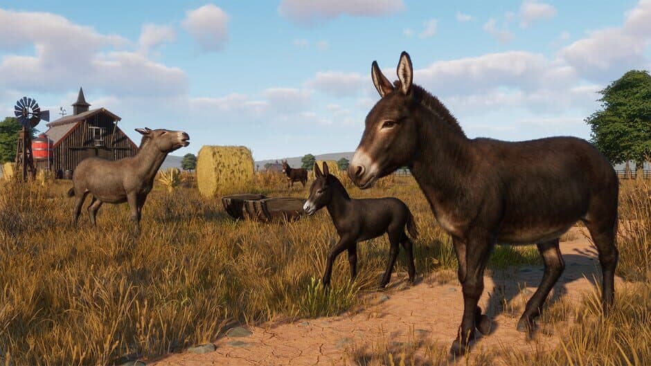 Скриншот 4 из Planet Zoo: Barnyard Animal Pack