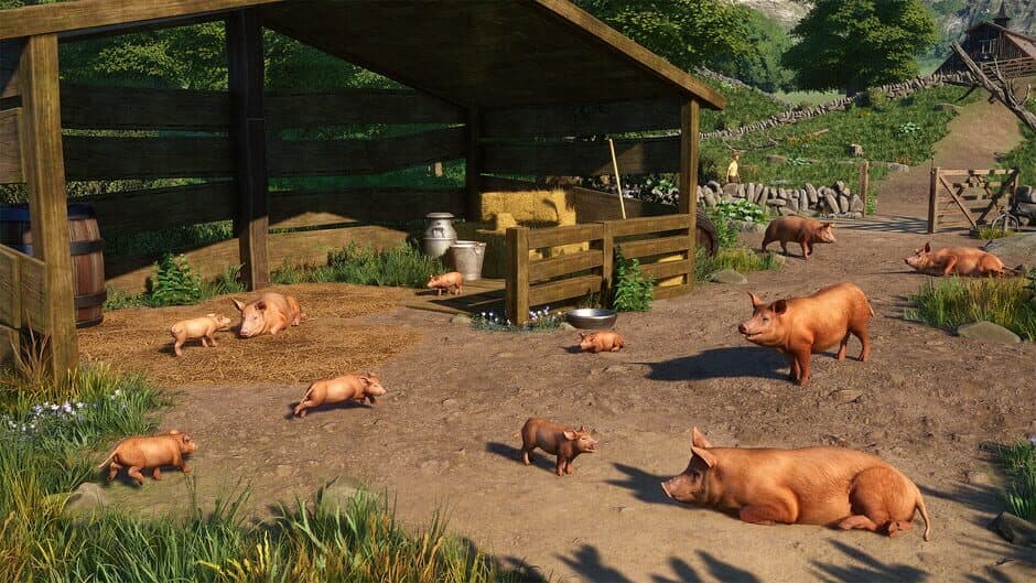 Скриншот 5 из Planet Zoo: Barnyard Animal Pack
