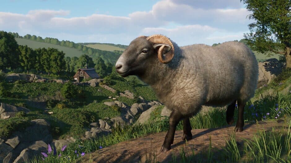 Скриншот 7 из Planet Zoo: Barnyard Animal Pack