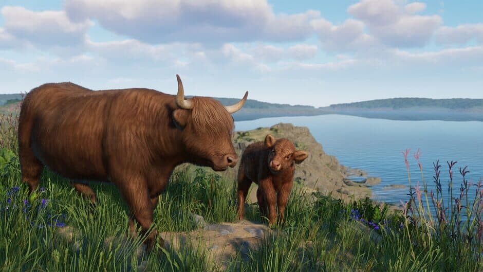 Скриншот 8 из Planet Zoo: Barnyard Animal Pack