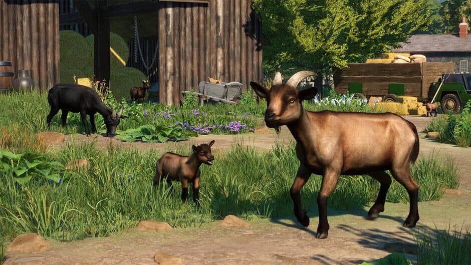 Скриншот 10 из Planet Zoo: Barnyard Animal Pack