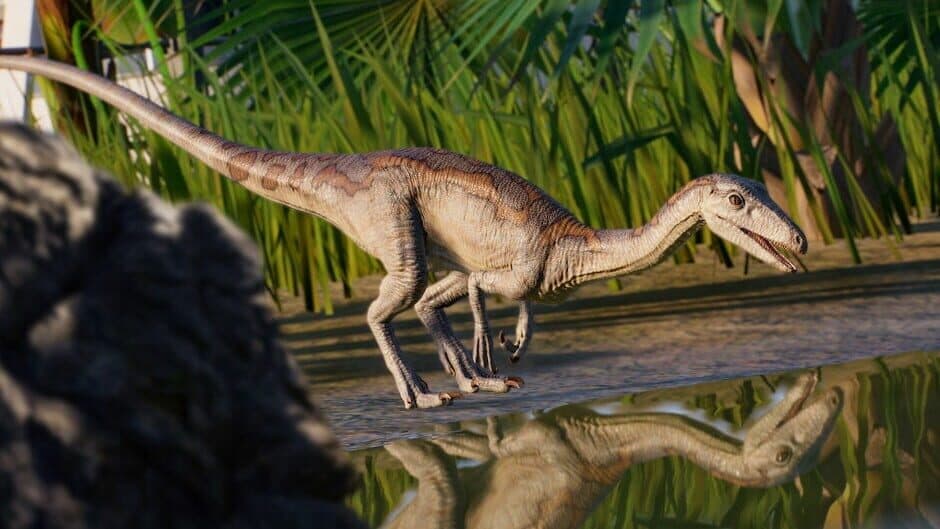 Скриншот 5 из Jurassic World Evolution 2: Park Managers' Collection Pack