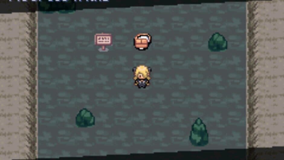 Скриншот 1 из Pokémon: The Pit