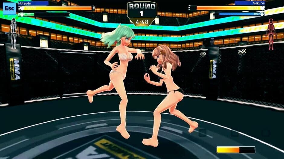 Скриншот 3 из Anime Girls: MMA Tournament