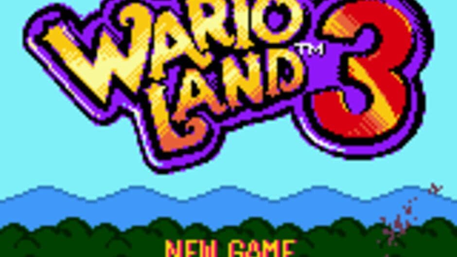 Скриншот 1 из Wario Land 3: The Master Quest