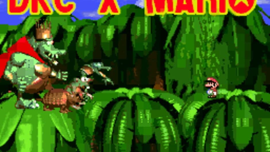 Скриншот 1 из DKC X Mario