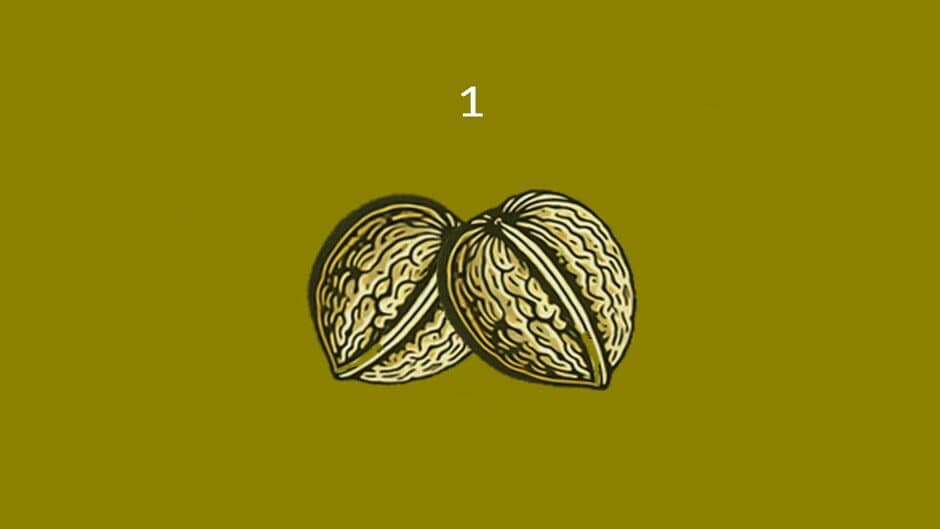 Скриншот 4 из Nuts