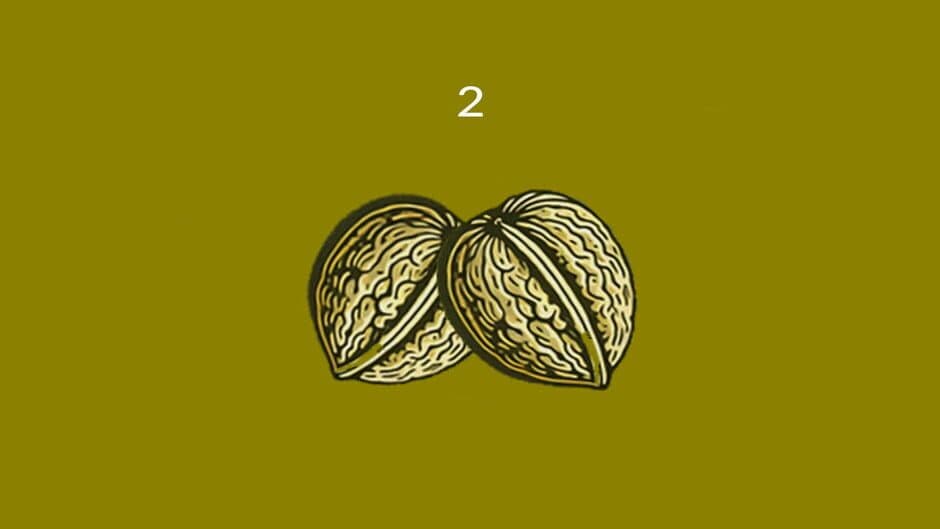 Скриншот 5 из Nuts