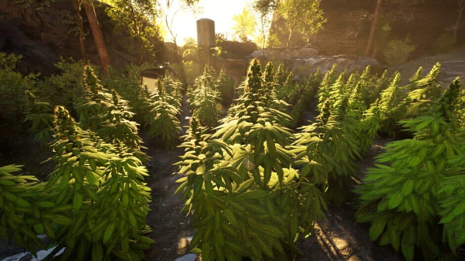 Скриншот 4 из Weed Shop 4: Highland