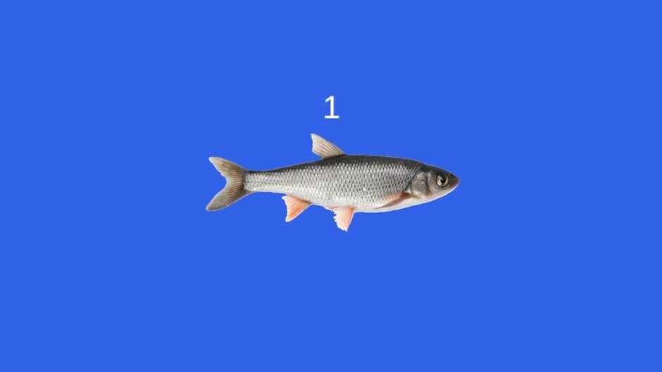 Скриншот 2 из Fish