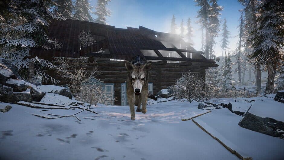 Скриншот 1 из Short Snow