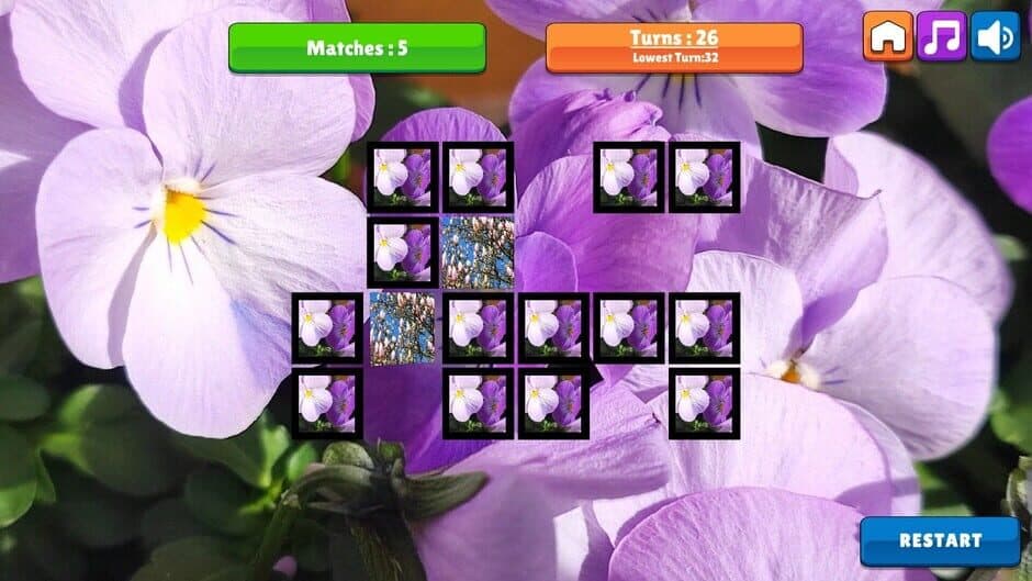 Скриншот 3 из OG Memory: Spring 2K24