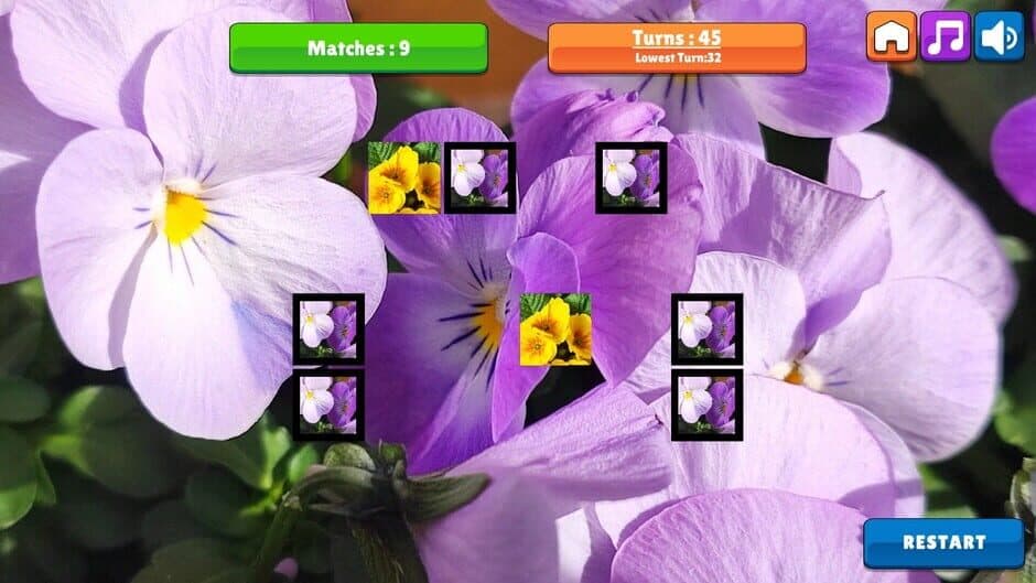 Скриншот 4 из OG Memory: Spring 2K24