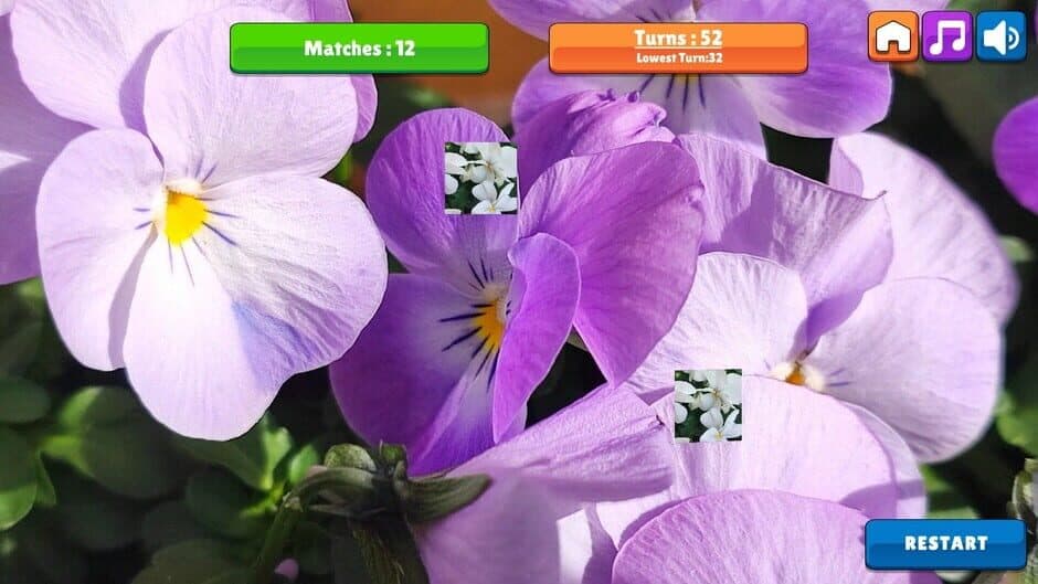 Скриншот 1 из OG Memory: Spring 2K24