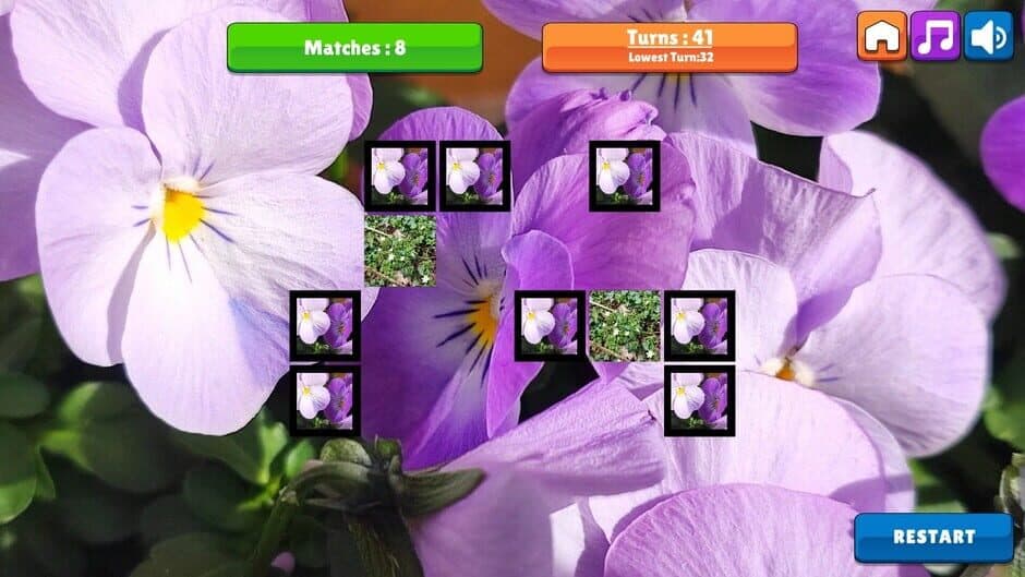 Скриншот 5 из OG Memory: Spring 2K24