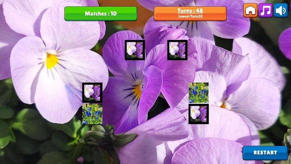 Скриншот 6 из OG Memory: Spring 2K24