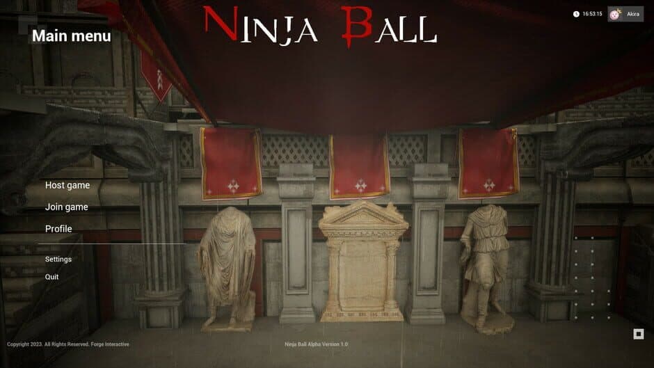 Скриншот 2 из Ninja Ball