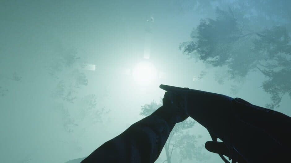 Скриншот 4 из Lights In The Sky