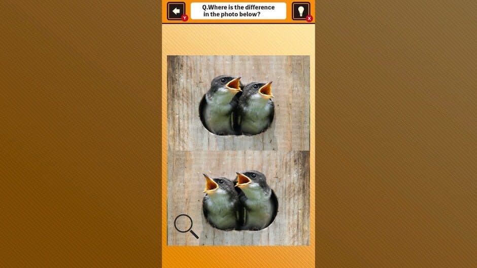 Скриншот 1 из Train Your Brain! Spot the Difference with Animal Kids Photos