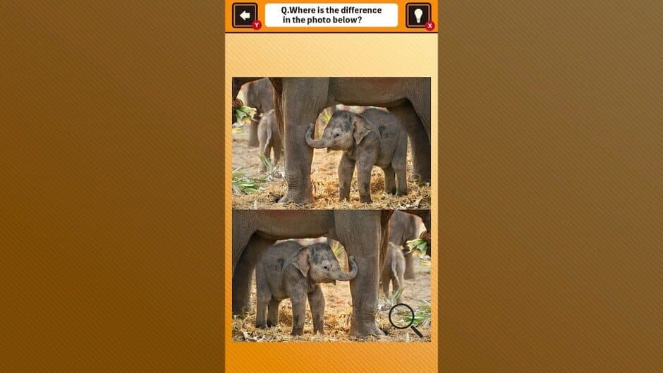 Скриншот 2 из Train Your Brain! Spot the Difference with Animal Kids Photos