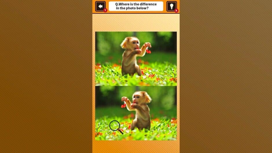Скриншот 3 из Train Your Brain! Spot the Difference with Animal Kids Photos