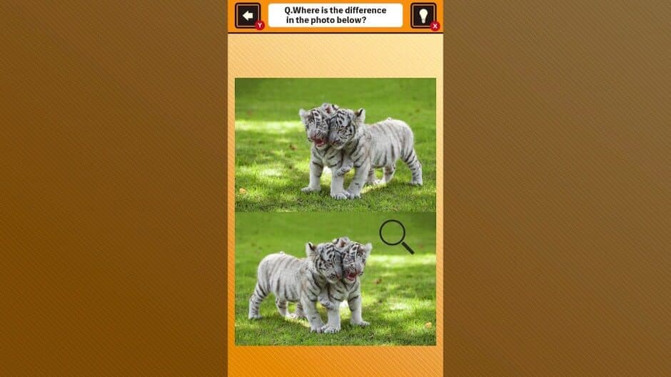 Скриншот 4 из Train Your Brain! Spot the Difference with Animal Kids Photos