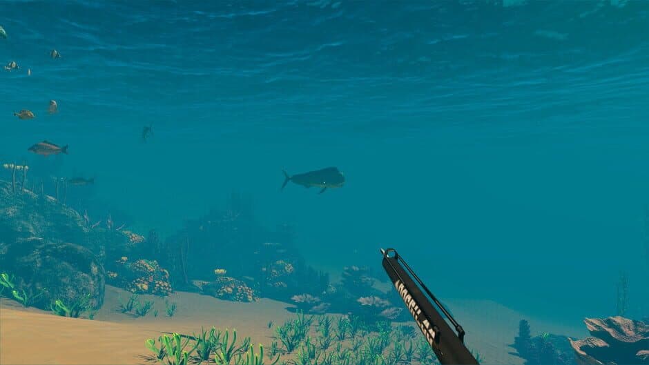 Скриншот 2 из Tropical Resort Simulator