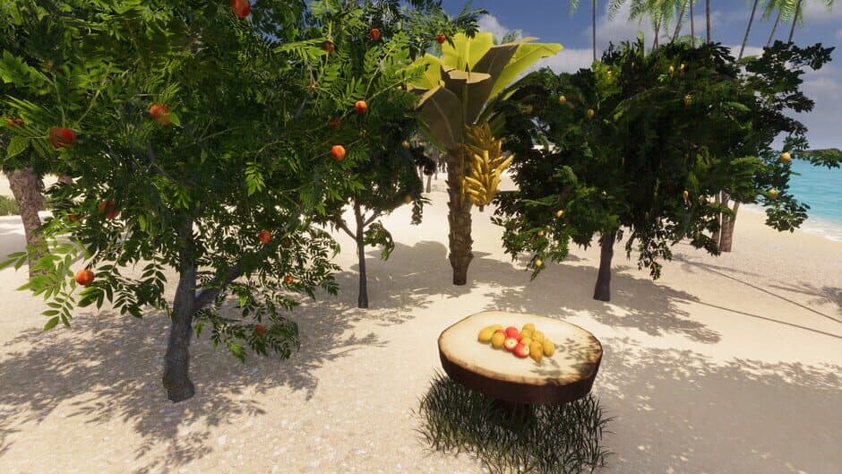 Скриншот 5 из Tropical Resort Simulator