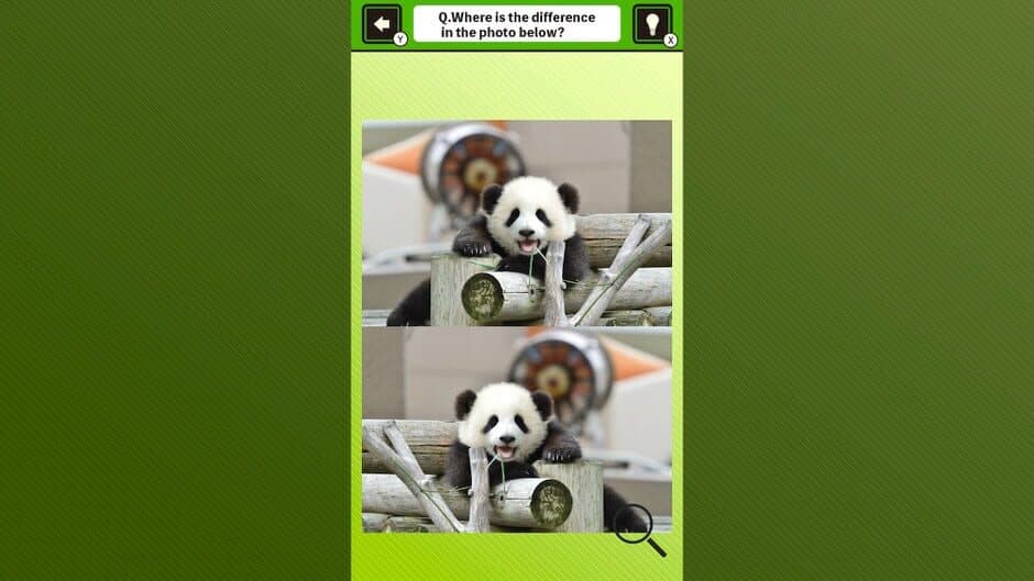 Скриншот 2 из Super Kawaii! Finding Mistakes in Panda Photos