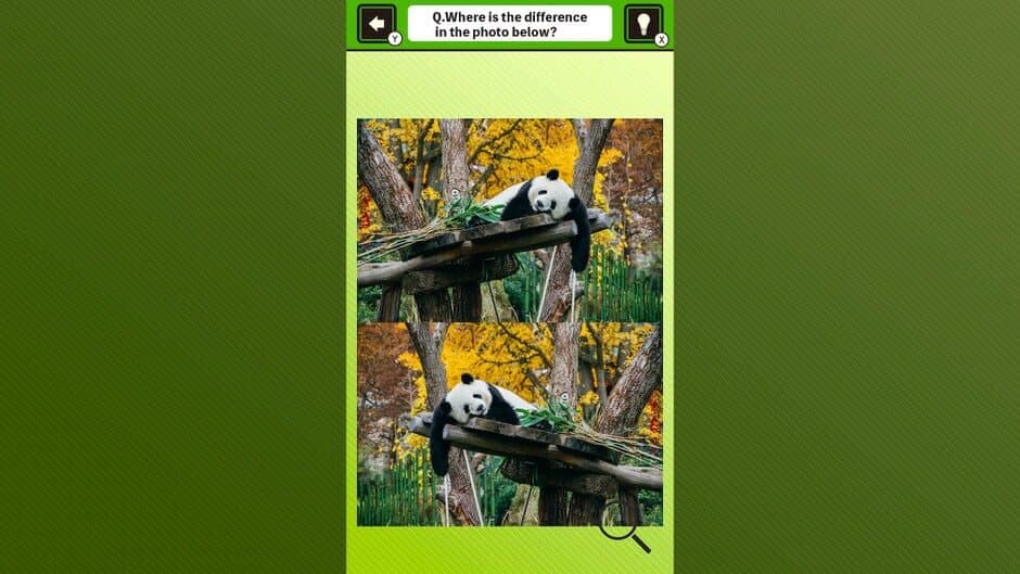 Скриншот 3 из Super Kawaii! Finding Mistakes in Panda Photos
