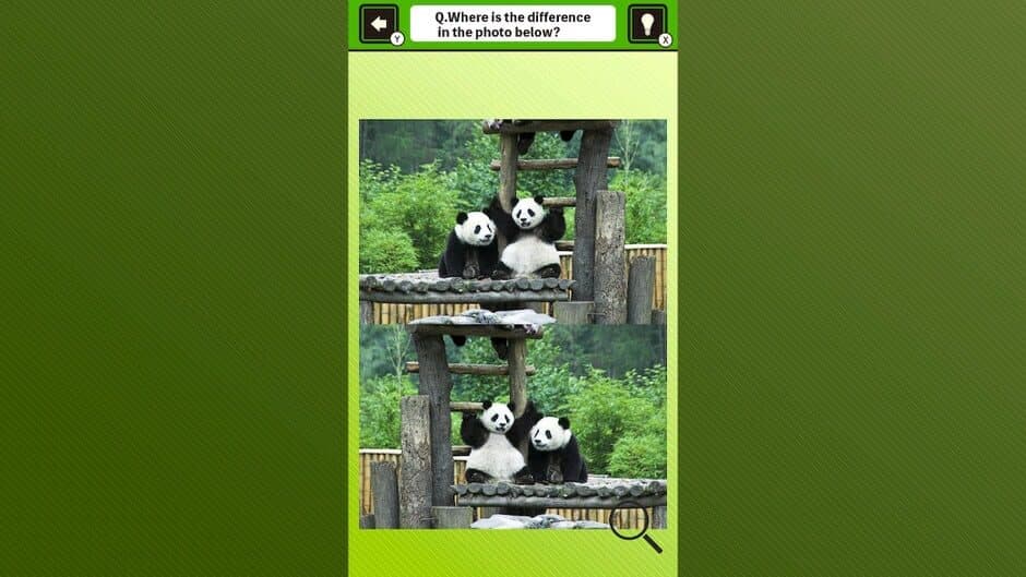 Скриншот 4 из Super Kawaii! Finding Mistakes in Panda Photos
