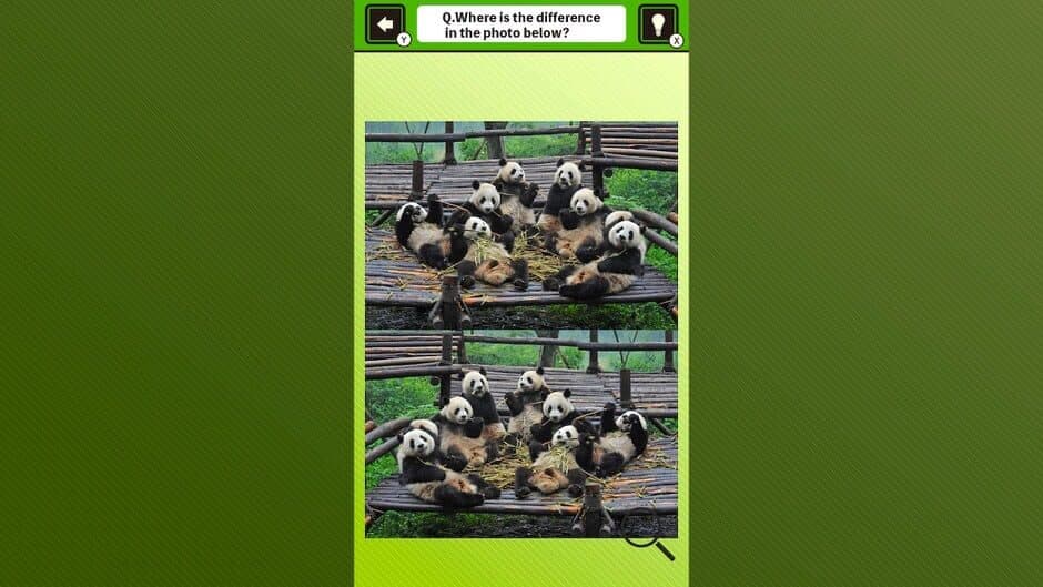 Скриншот 1 из Super Kawaii! Finding Mistakes in Panda Photos