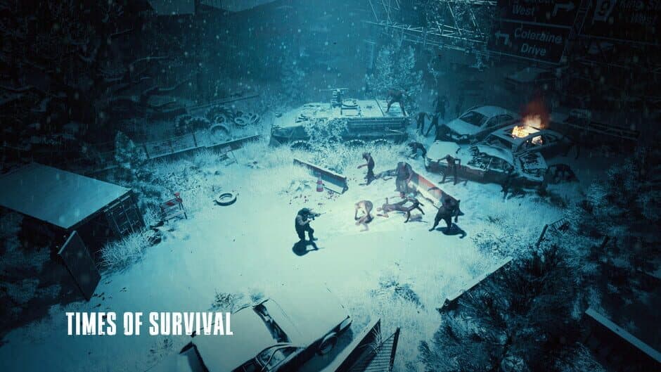 Скриншот 3 из Times of Survival