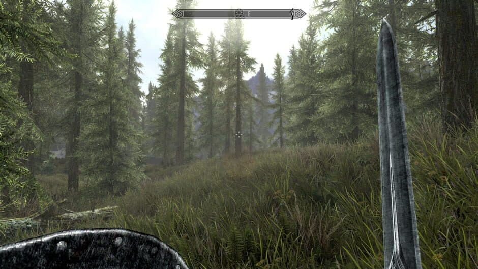 Скриншот 1 из The Elder Scrolls V: Skyrim