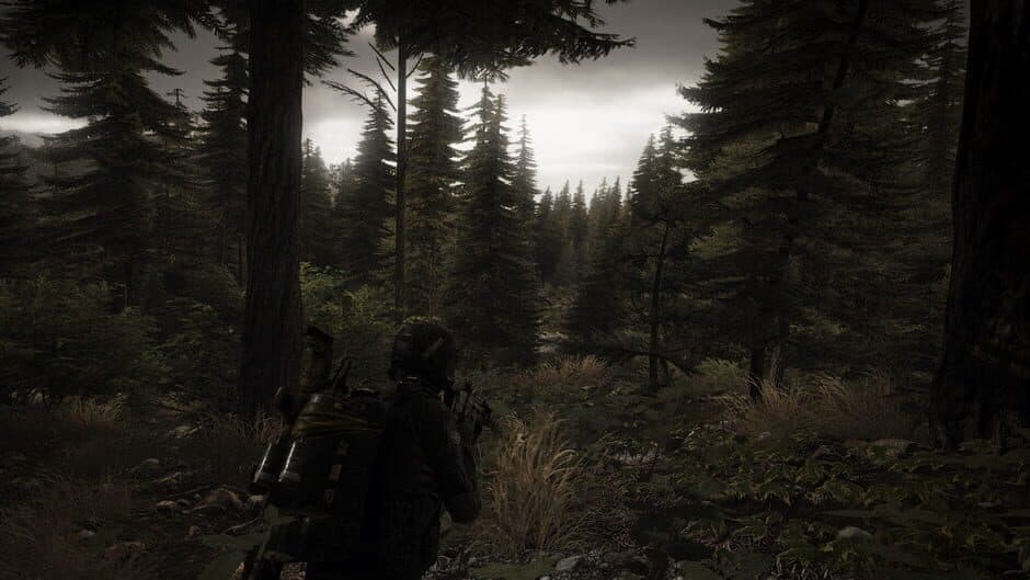 Скриншот 6 из Tom Clancy's Ghost Recon: Wildlands