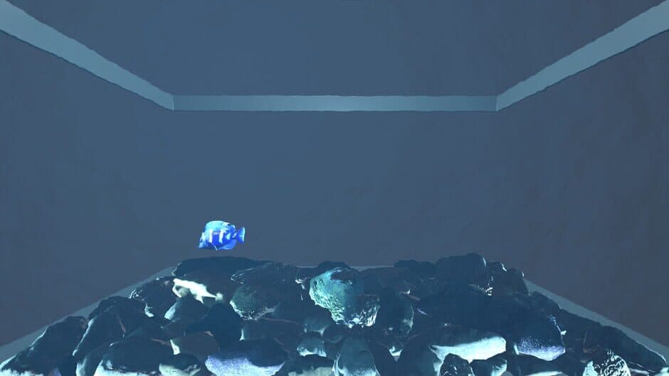 Скриншот 2 из Aquario
