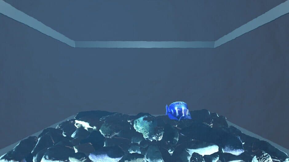 Скриншот 5 из Aquario