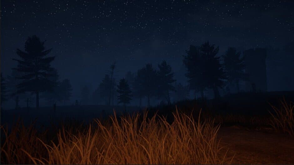 Скриншот 6 из Medieval Nightt: Part 1